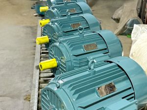 Electric motor workshop