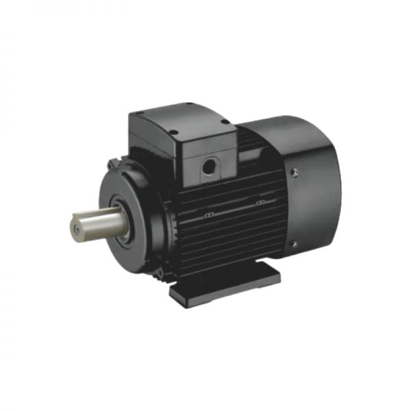 YE3 High Efficiency Three-Phase Asynchronous Motor - 图片 6