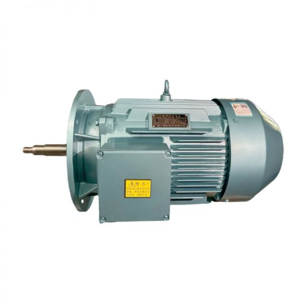 YE4 Series High Efficiency Three-Phase Asynchronous Motor - 图片 2